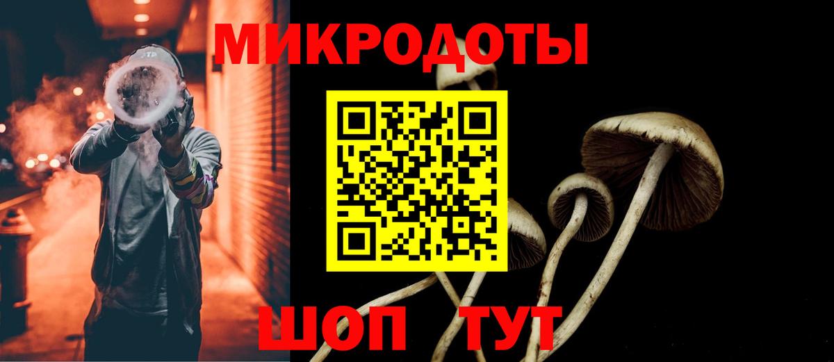 Псилоцибиновые грибы MAGIC MUSHROOMS  Галлюциногенные грибы Psilocybine cubensis  Вход с VPN  Кисловодск 